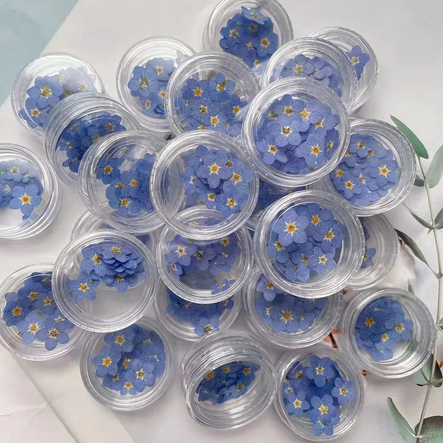 100pcs Pressed Dried Mini Blue - огляд і ціна Dried Flower Bookmark