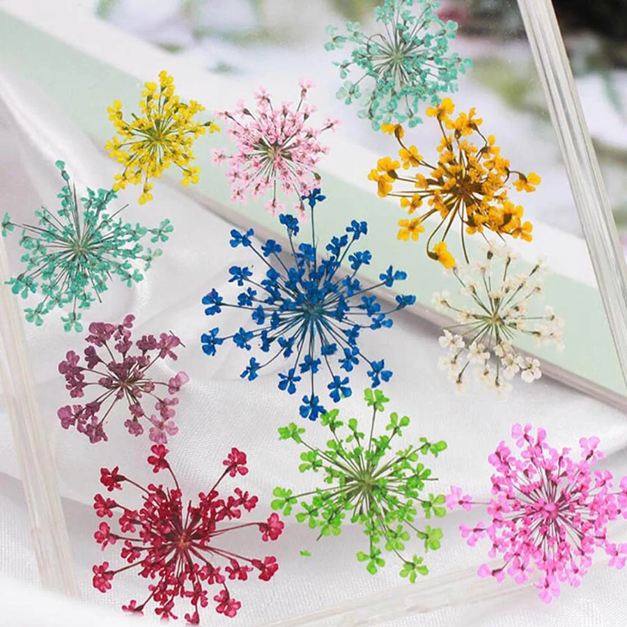 60pcs Pressed Dried 20-25mm Am - огляд і ціна Dried Flower Bookmark