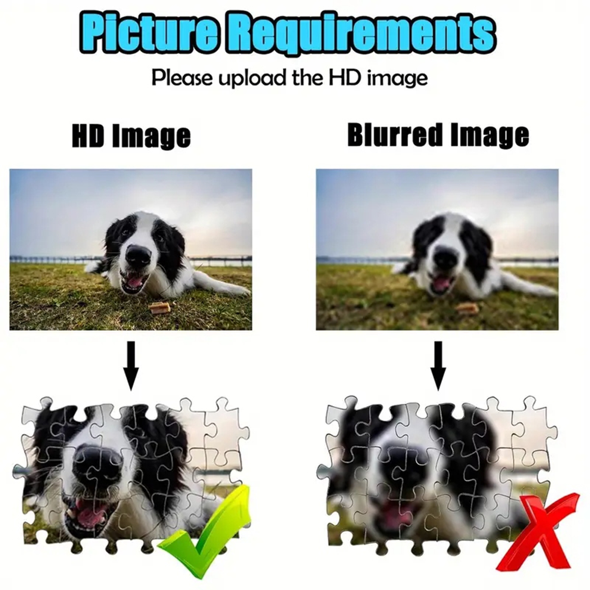 35/300/500/1000pcs Personalize - огляд і ціна Pet Portrait Custom
