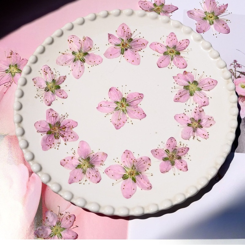 3-4cm./6pcs,Pink Peach Blossom - огляд і ціна Dried Flower Bookmark