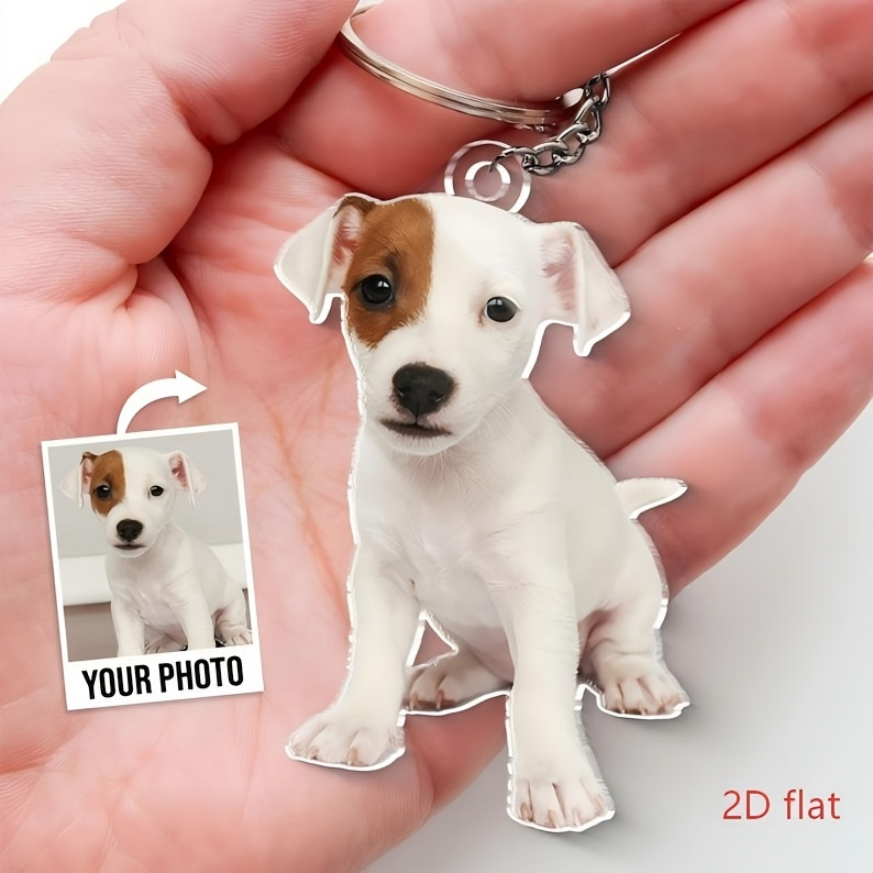 Personalized Custom Acrylic Ke - огляд і ціна Pet Portrait Custom