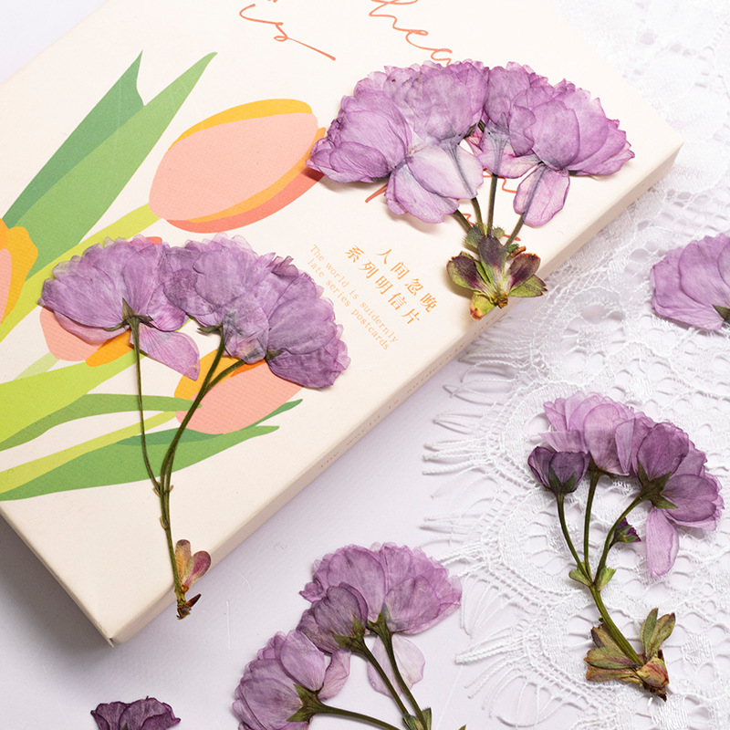 48Pcs New Product Guanshan Che - огляд і ціна Dried Flower Bookmark