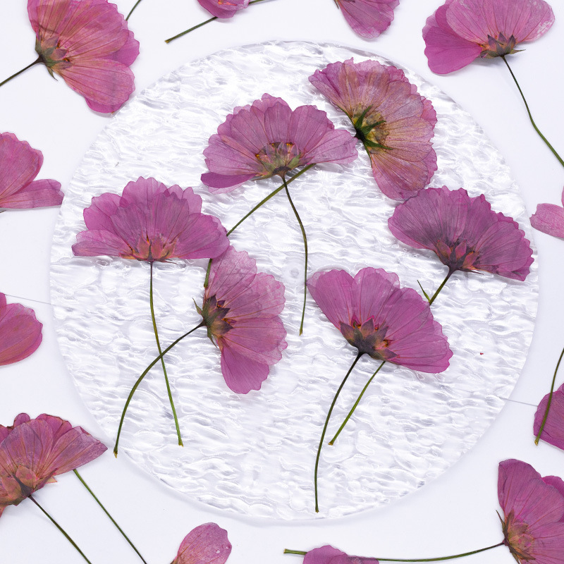 48Pcs Natural Plant Gerbera Fl - огляд і ціна Dried Flower Bookmark