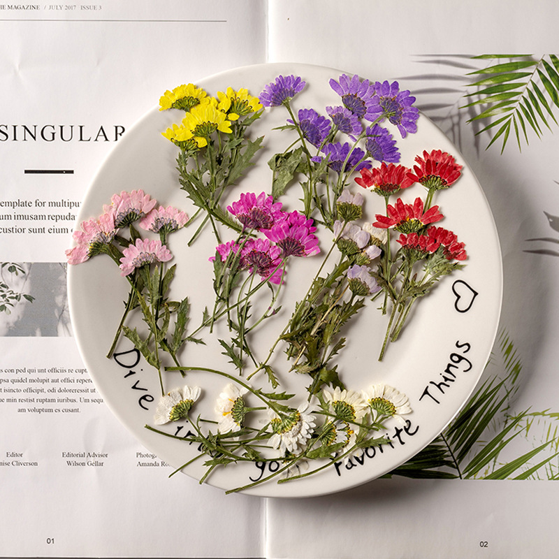 5-8cm/24pcs,Side Pressed Cryst - огляд і ціна Dried Flower Bookmark