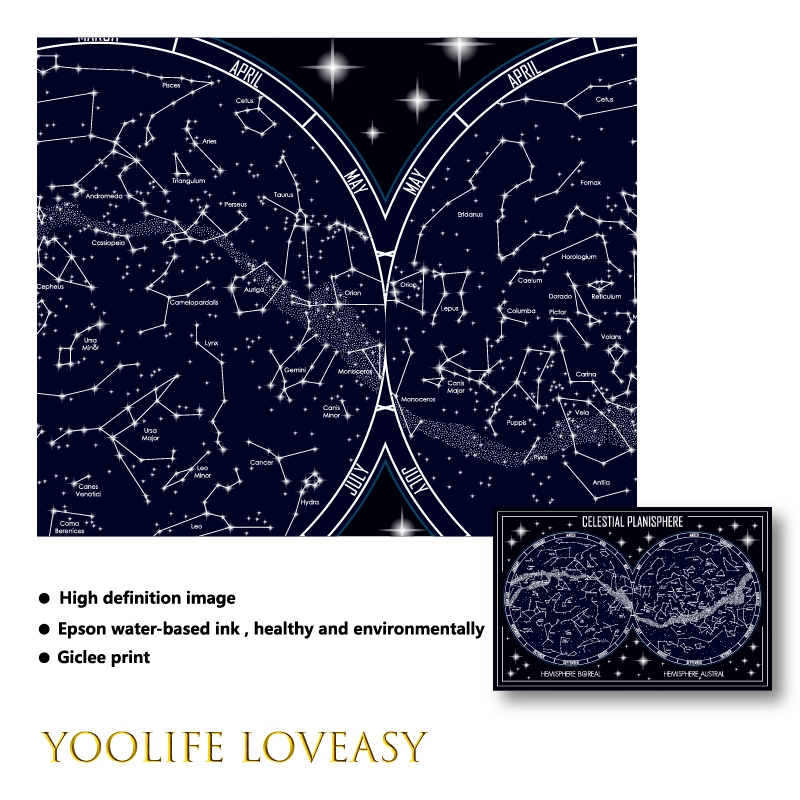 Celestial Planisphere Map Canv - огляд і ціна Custom Star Map